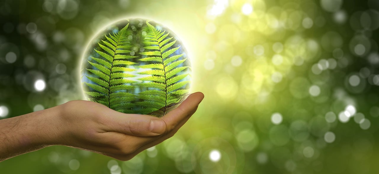 Factory Environmental Impact Assessment